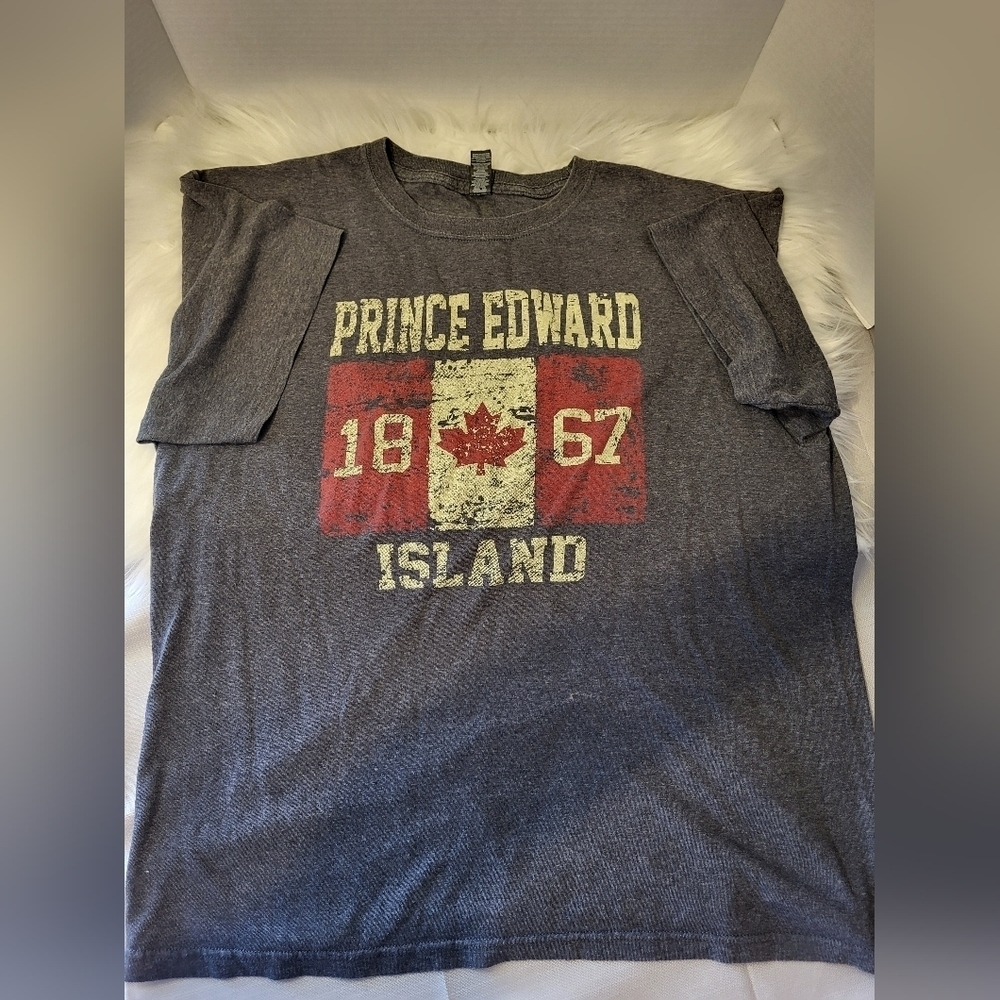 Gray Graphic T-Shirt, PEI Canada, Size Large - Picture 5 of 5